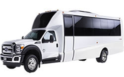 quality buses ford mini