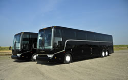 quality buses vanhool 56