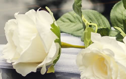 Wedding bus rental dc